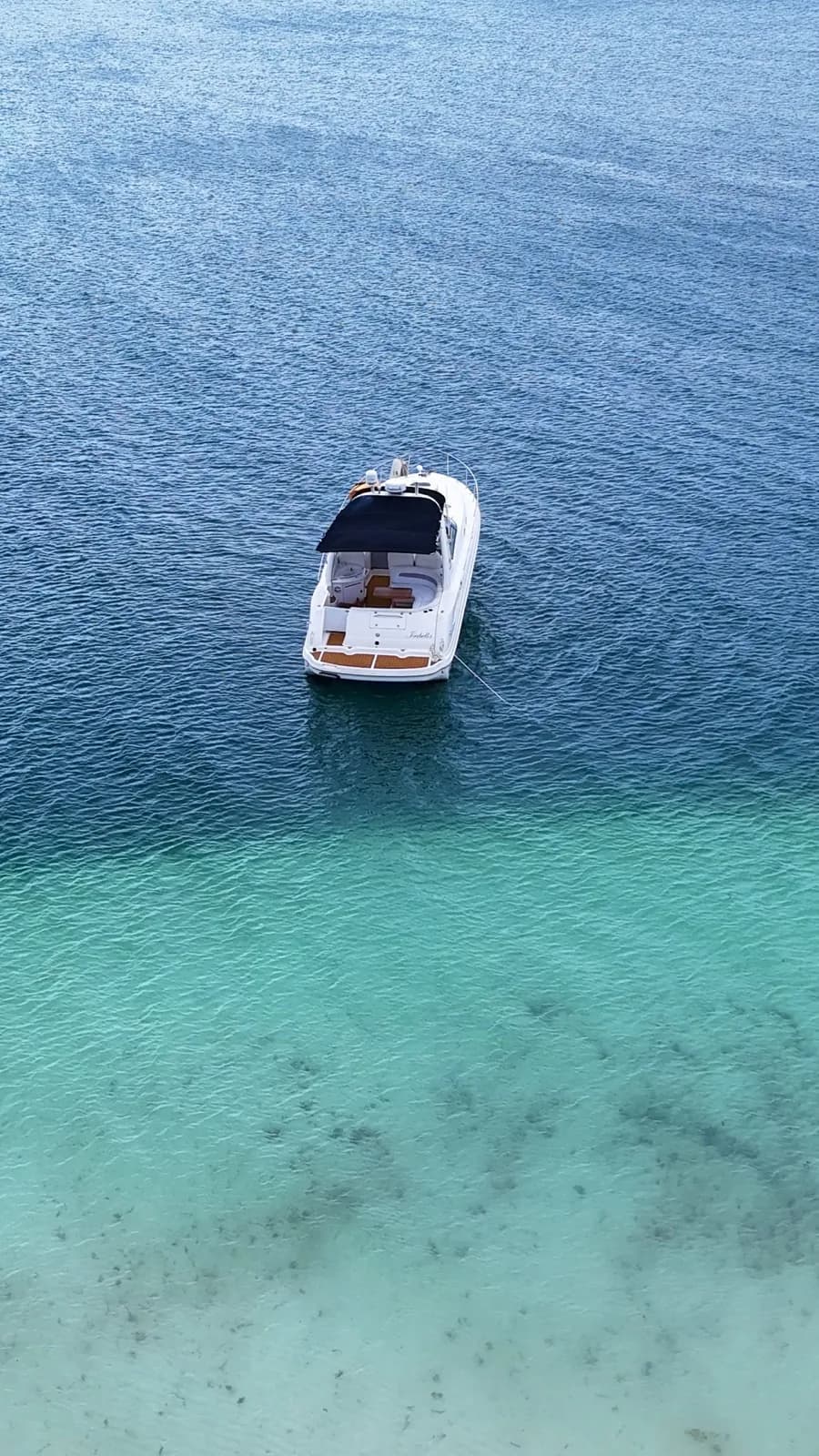 A lively group celebrating aboard a private yacht in Cancún