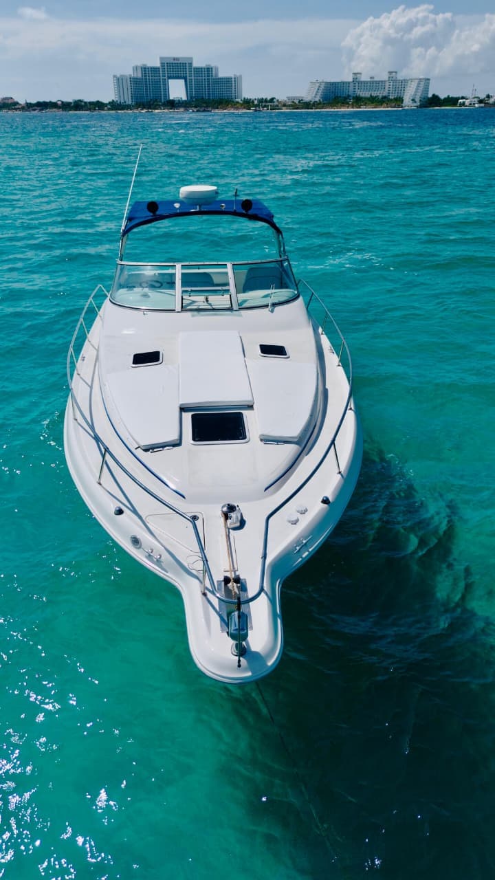 Guests toasting and enjoying a private yacht day in Cancún