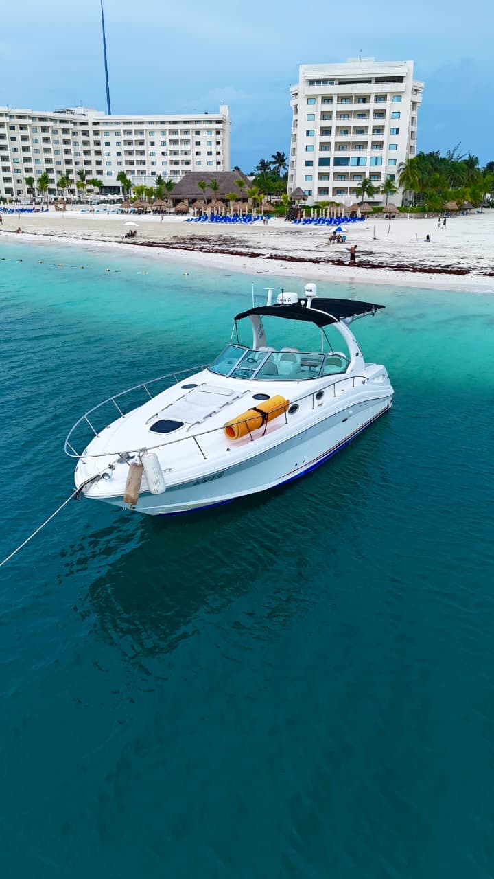 A fun moment in the water during a yacht charter in Cancún