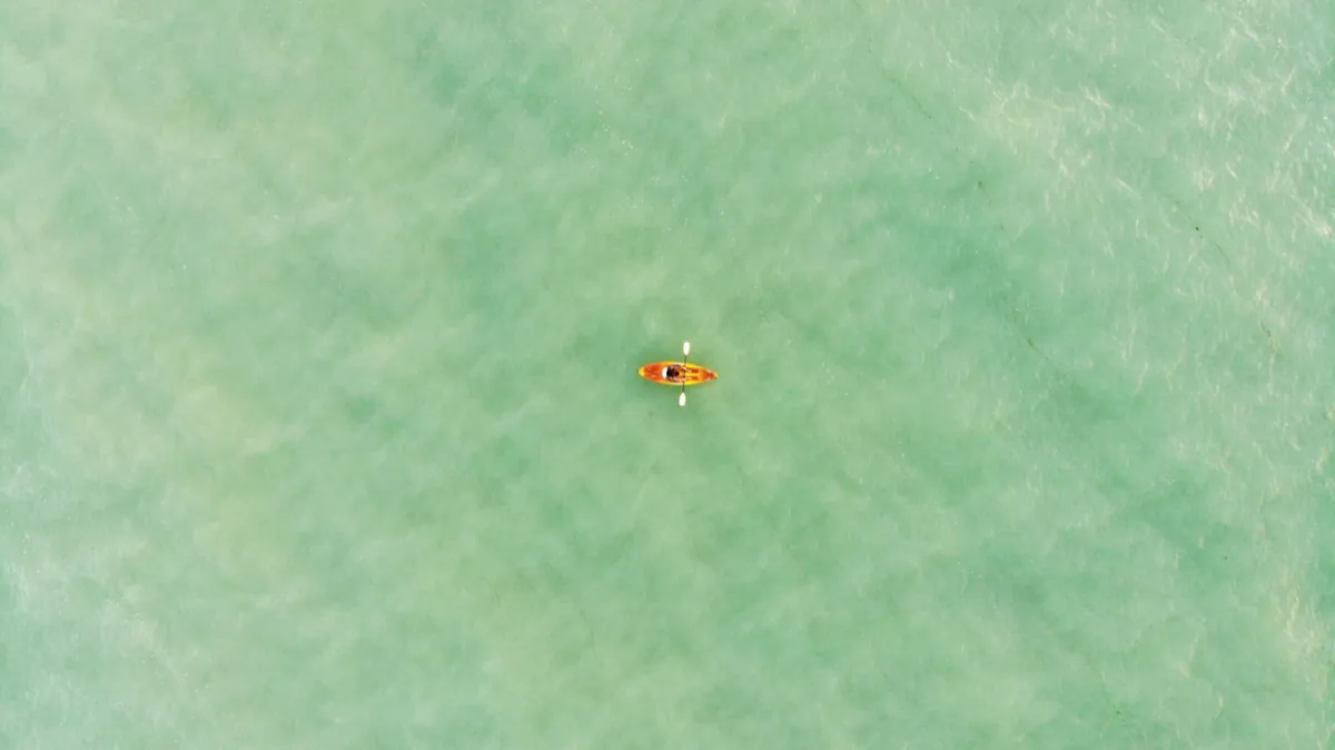 Bahía y manglares - experiencia de lujo en yate en Cancún