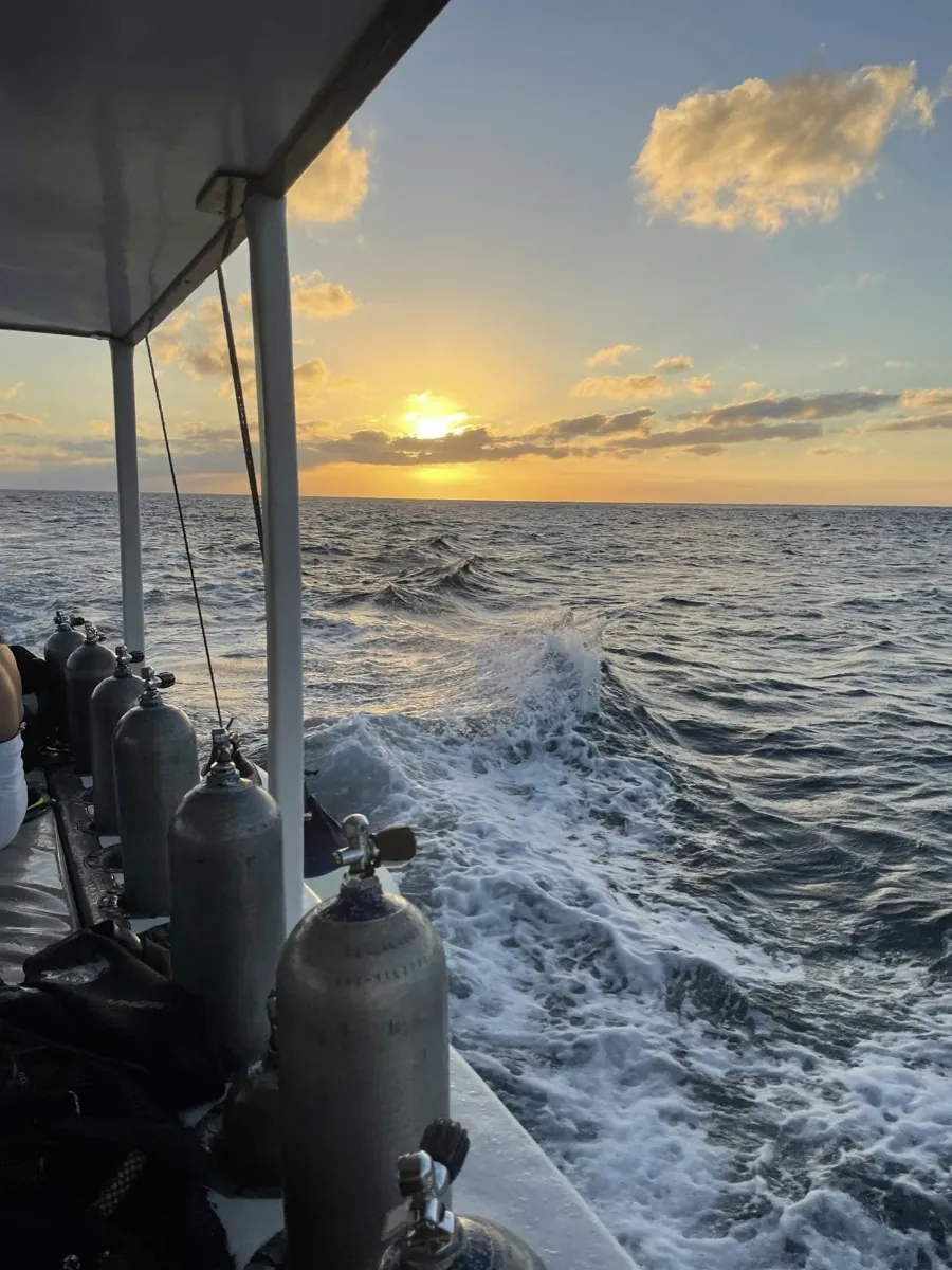 Atardeceres y celebraciones - experiencia de lujo en yate en Cancún